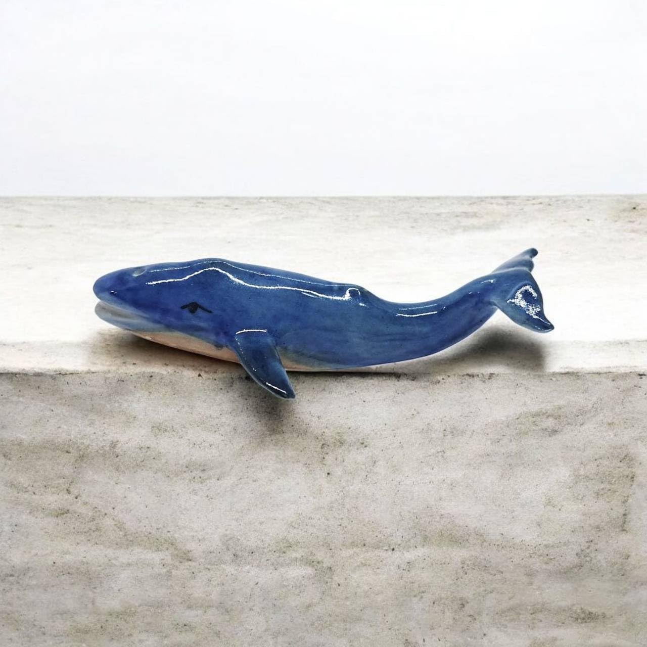 Amazon.com: WitnyStore Tiny 2¼