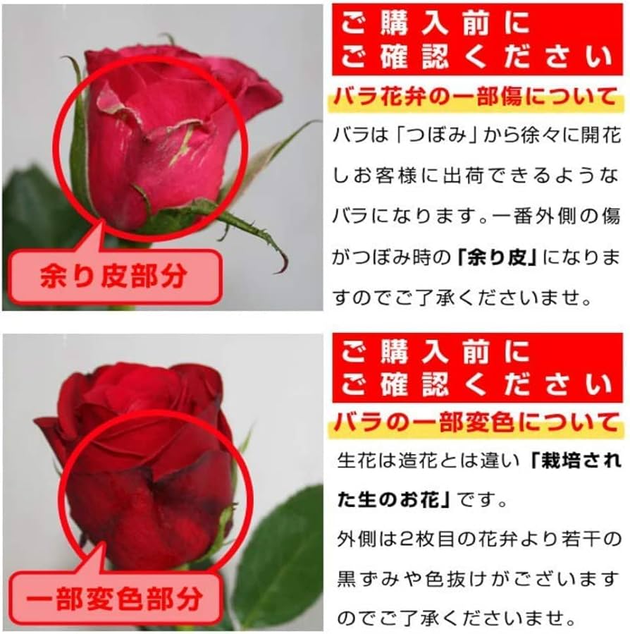 Amazon｜BisesFlower(ビズフラワー)バラ 200本 の 花束