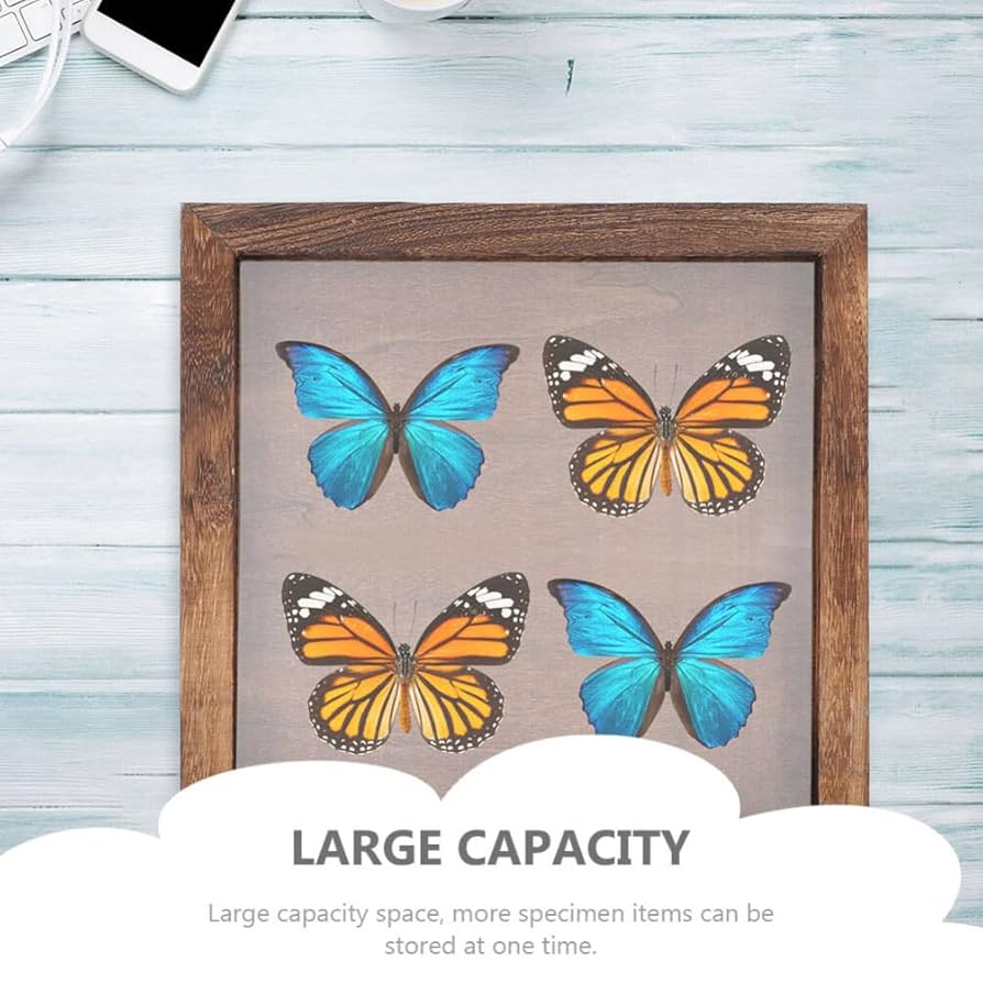 蝶の標本 木製フレーム入り 蝶の標本 約100匹 木製フレーム入り i-img1080x1080-