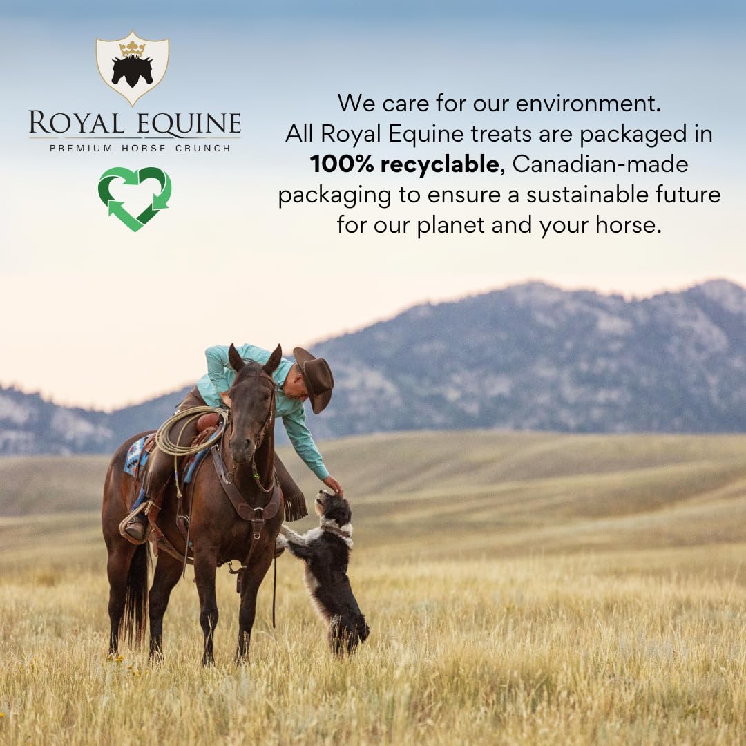 Premium Horse Crunch, Healthy Horse Treats - Canadian-Sourced, All-Natural Ingredients, Crunchy Baked Cubes. GMO-Free, No Preservatives, Rye, Barley, Oats Base. (Honey & Molasses) - 4
