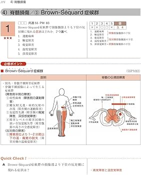 理学療法士・作業療法士国家試験必修ポイント 専門基礎分野 臨床医学 2025 理学療法士・作業療法士国家試験必修ポイント専門基礎分野基礎