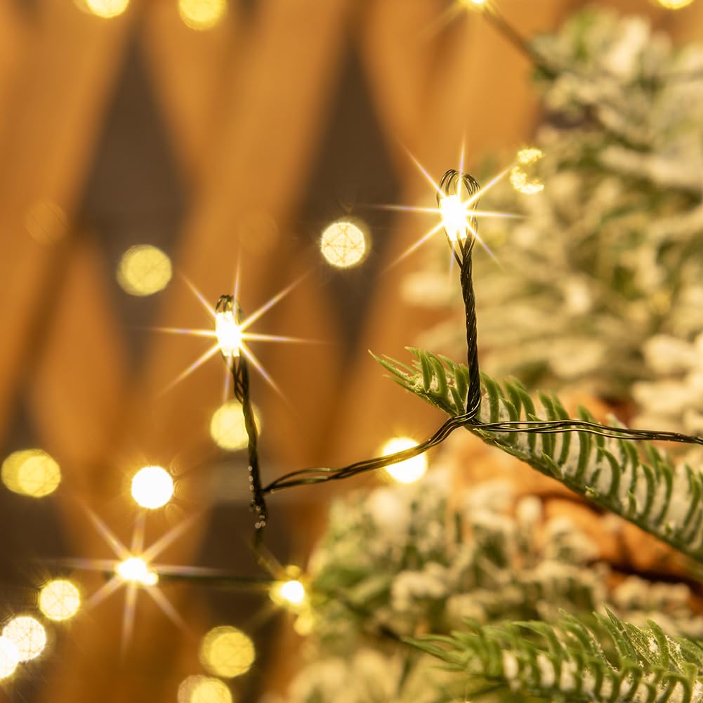 Accendi Petardo Luci 30m 1000 LED Bianco Caldo Verde Filo Cluster Lucine con Telecomando per Camera da Letto,Matrimonio,Compleanno,Festa,Albero di Natale,Giardino,Patio