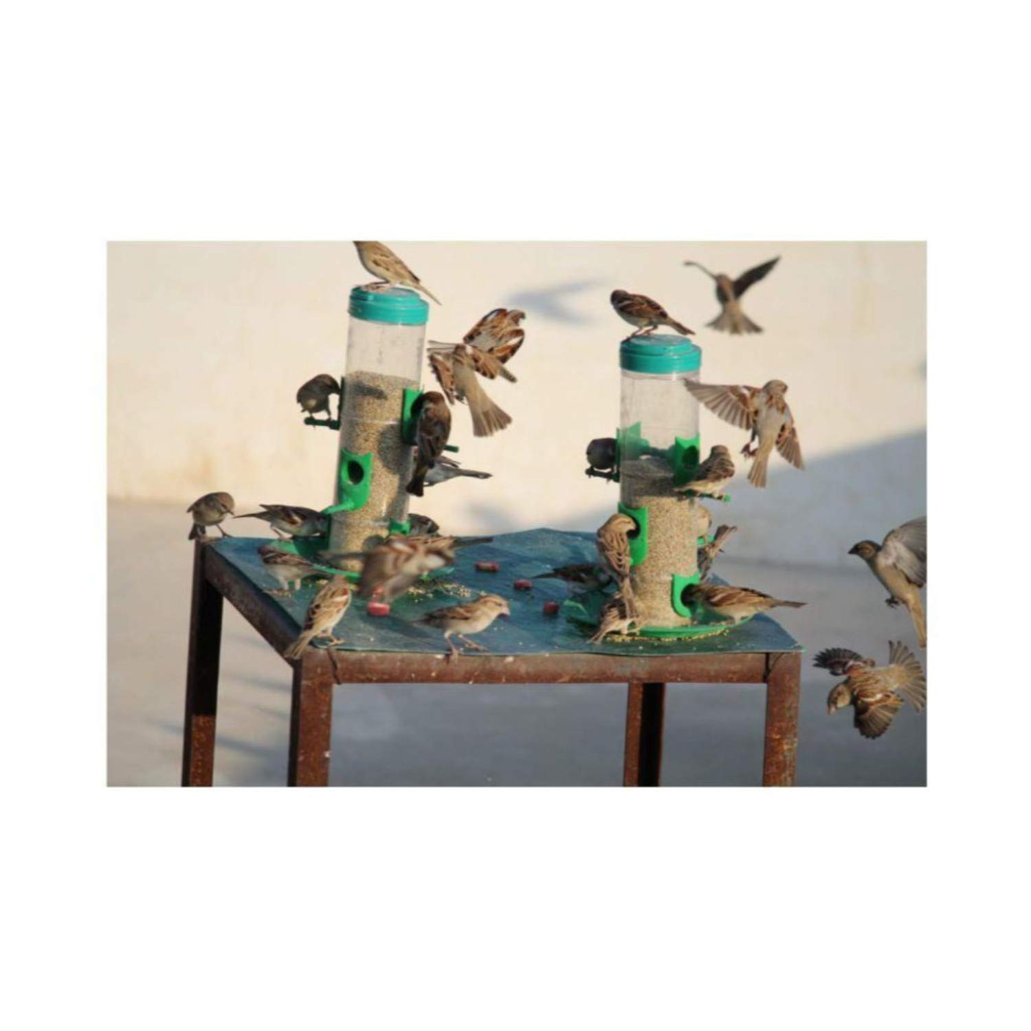 Amijivdaya Large Bird Food Feeder with hut Both Side Pack of 6 2