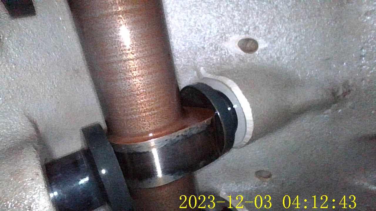 Excelentes imágenes detalladas.