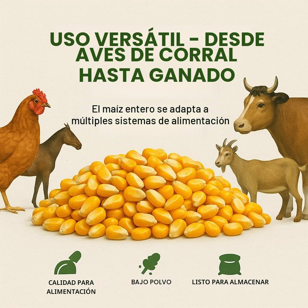 GiDeli Maíz 10 kg amarillo - Granos enteros de maíz en calidad de pienso - Alimento para pollos, patos, caballos y palomas