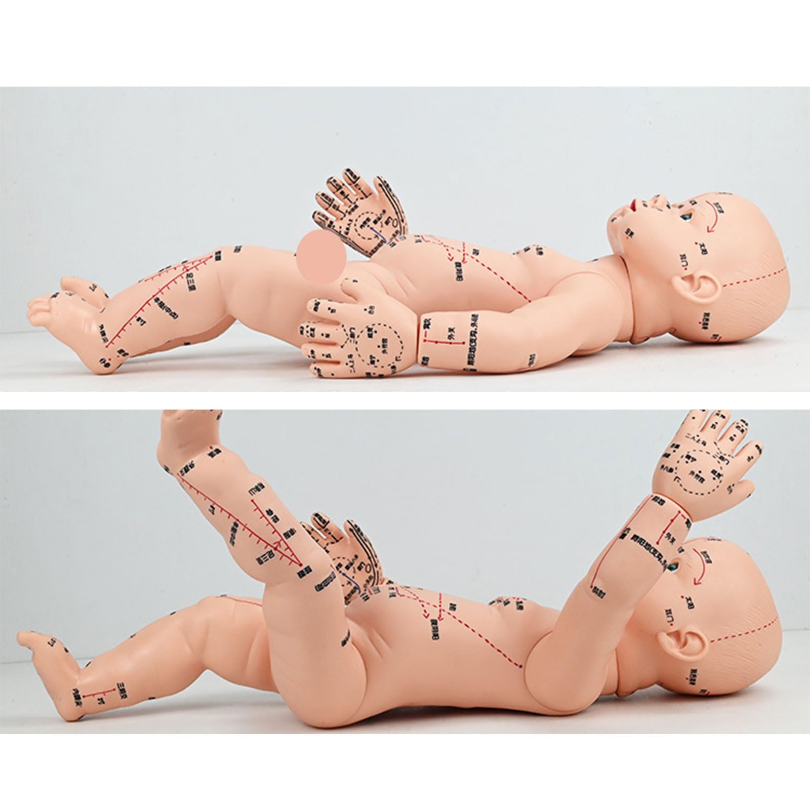 Modello di allenamento professionale per neonati con punti di agopuntura contrassegnati per la formazione nella cura dei neonati e la cura domestica, modello di massaggio pediatrico