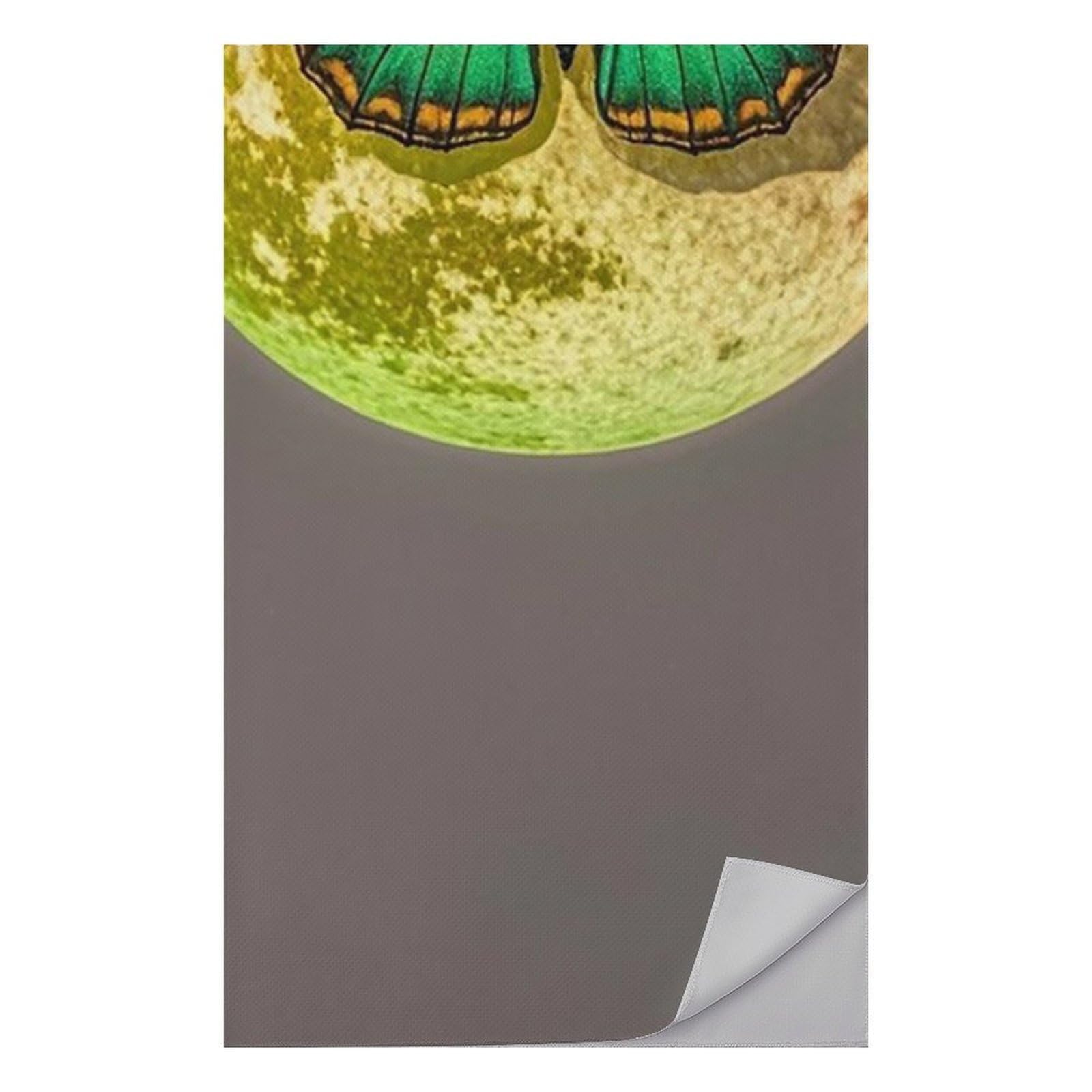 FHESDCW Sun and Moon Green Moth Towel Quick Dry Ice Towels for Hot Weather Breathable Camping Towels Sweat Super Absorbent Bathroom Towel for Gym Yoga Pilates Exercise