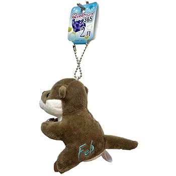 新品・タグ付き！　カワウソぬいぐるみ &amp; マスコットキーホルダー　8点セット マスコット ボールチェーン ニコぬい キーホルダー Lサイズ