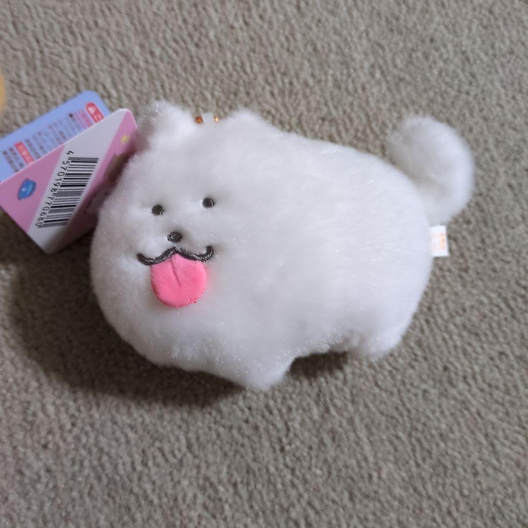 Amazon.co.jp: ちゃんつか【しばらく 様 ！つぶらな瞳犬と猫 さもえど