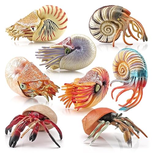 Wapik Ñ Cm tBMA 8 Zbg Jt Y IEKC hJ {̂悤 A ʔ lC Cm ~jf ̐} Ðw mߋ  DIY I[ig ANAE  蕨 a NX}X