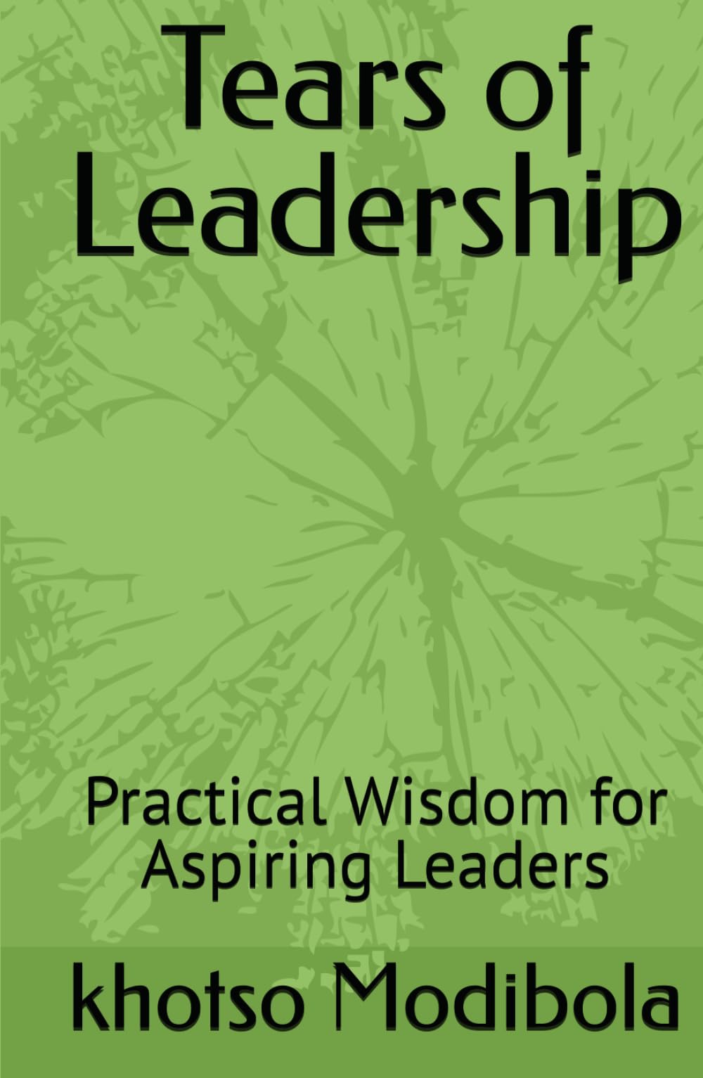 Tears of Leadership: Practical Wisdom for Aspiring Leaders (The Fire Within Series)