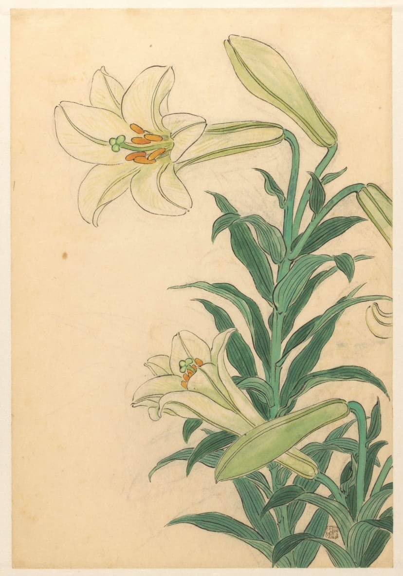 Toile Gallinule et fleurs Ohara 60x90cm pour remplacer les affiches papier qui se déchirent - 5
