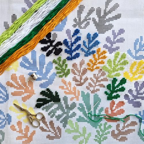 Image of Brvsk Abstract Embroidery Kit for Adults and Beginners - The Sheaf by Henri Matisse 16″ x 16″ with Clear, Precise Printed Design on Cotton Canvas; Includes 2 Needles, Yarn, and Easy-Read Chart
