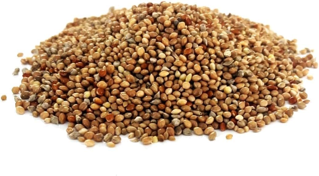 2kg Mixed Millets Mixed Finch Seed Cage & Aviary Bird Food SJJ