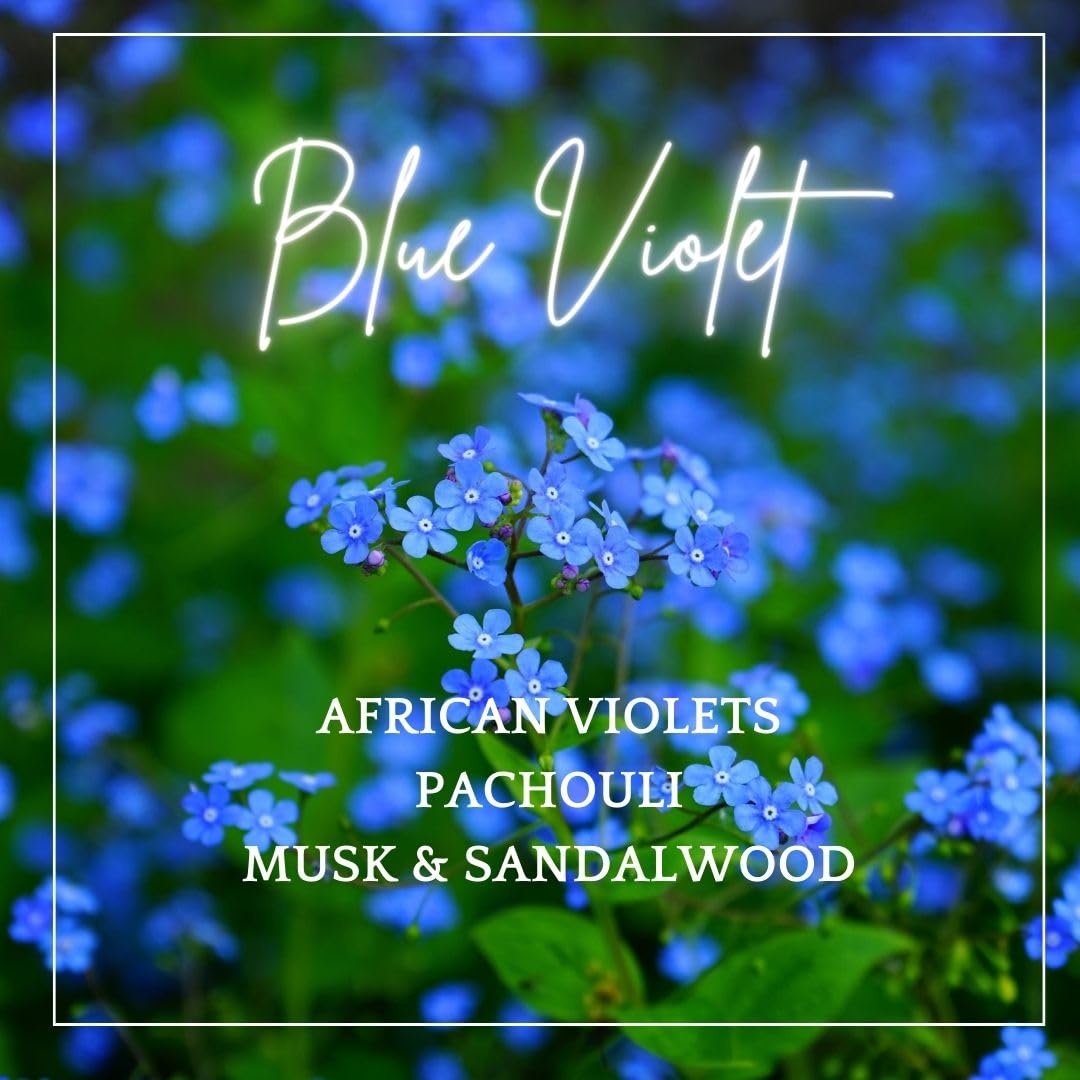 Amazon.com: Le Blanc® Blue Violet Single Pack Dryer Sachet