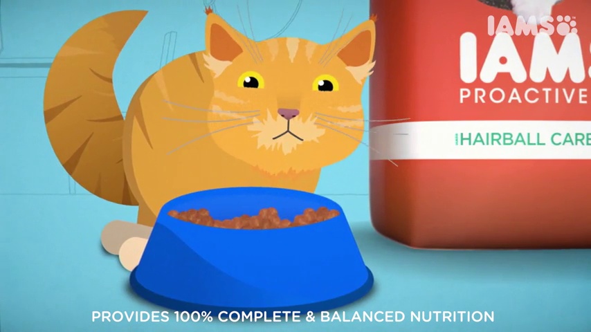 IAMS PROACTIVE HEALTH Adult Hairball Care Dry Cat Food with Chicken and Salmon Cat Kibble, 7 lb. Bag - Image 7