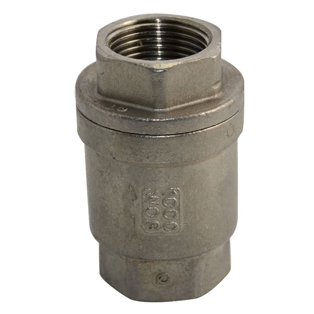TAISHER 1PCS 304 Stainless Steel 2" NPT Female Swing Check Valve?Backflow Prevention, One Way
