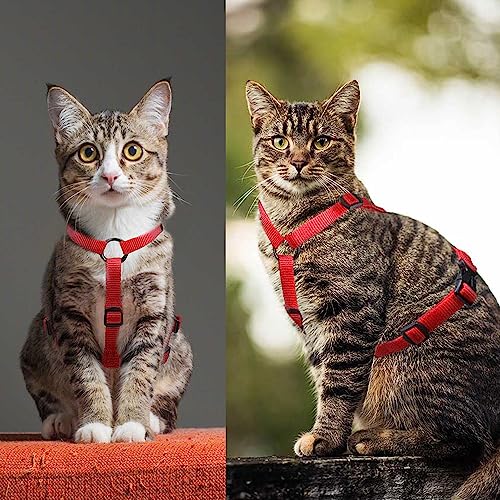 Arnés para gatos EXCELLENT ELITE SPANKER de nailon resistente con ajuste antitirones color rojo 8