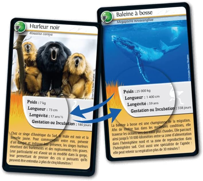 Les Meilleurs Records Animaux : Défiez la Nature avec DEFIS NATURE !