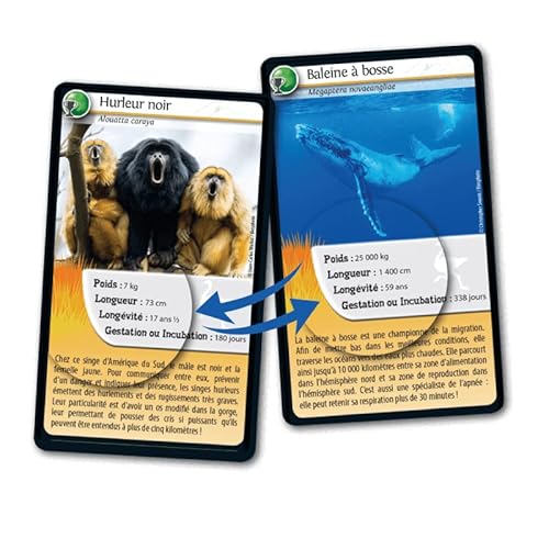 Défis Nature : Records des animaux Bioviva - vue 6