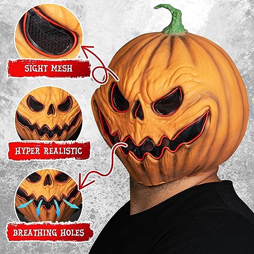 Calabaza, Toy Imagen adicional