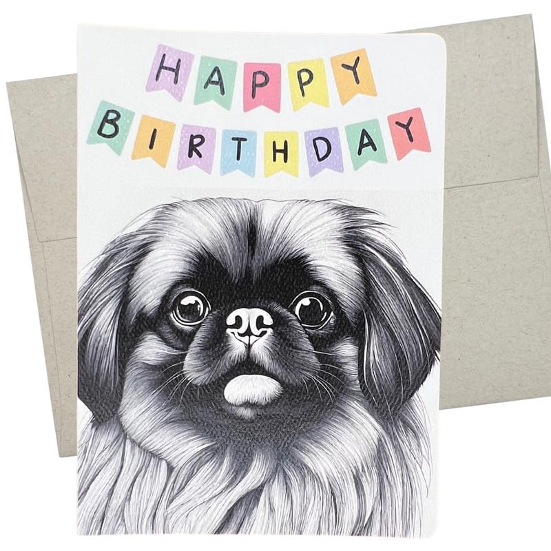 ペキニーズ書籍4冊セット 本 洋書 写真 pekingese PEKINGESE ペキニーズ書籍4冊セット 本 洋書 写真 pekingese PEKINGESE