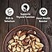 Premium Wild Harvested Dry Roasted Brazil Nuts with Sea Salt, 1 lb (16 oz) – High Selenium, Batch Tested Peanut & Gluten Free, Non-GMO, Kosher, Resealable Bag