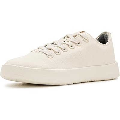 Allbirds Cruiser Canvas