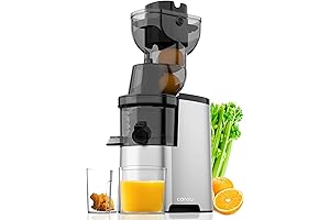 Masticating Juicer Machines for Maximum Nutrition Extraction