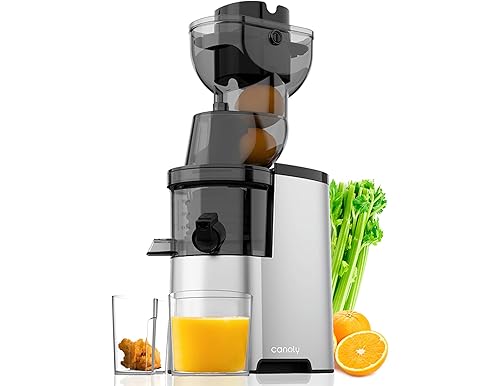 Best Masticating Juicers: Top 10 Juicers for Nutrient-Rich Extractions in 2024