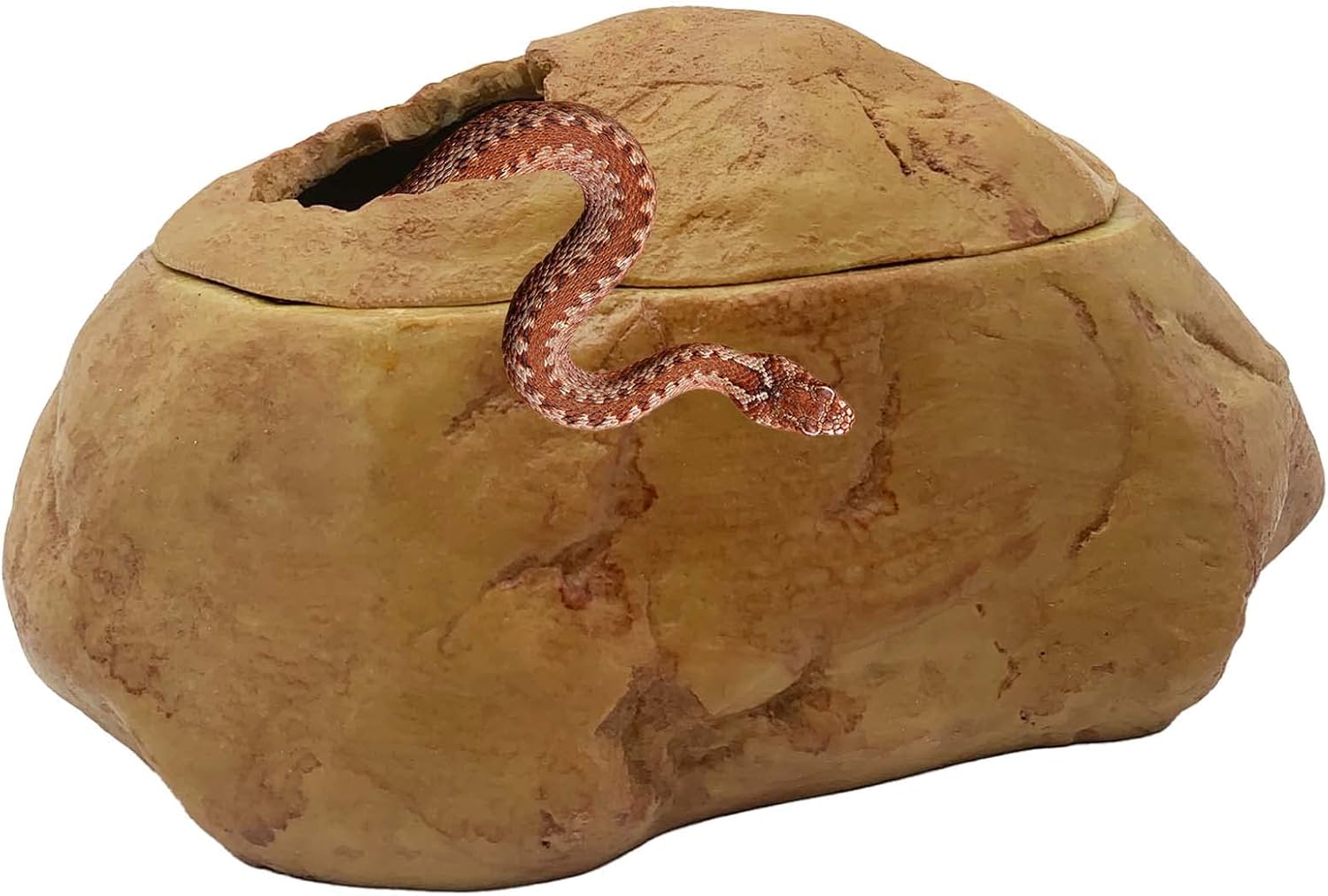 How To Build A Snake Rack For Ball Pythons Savings | www.idropnews.com