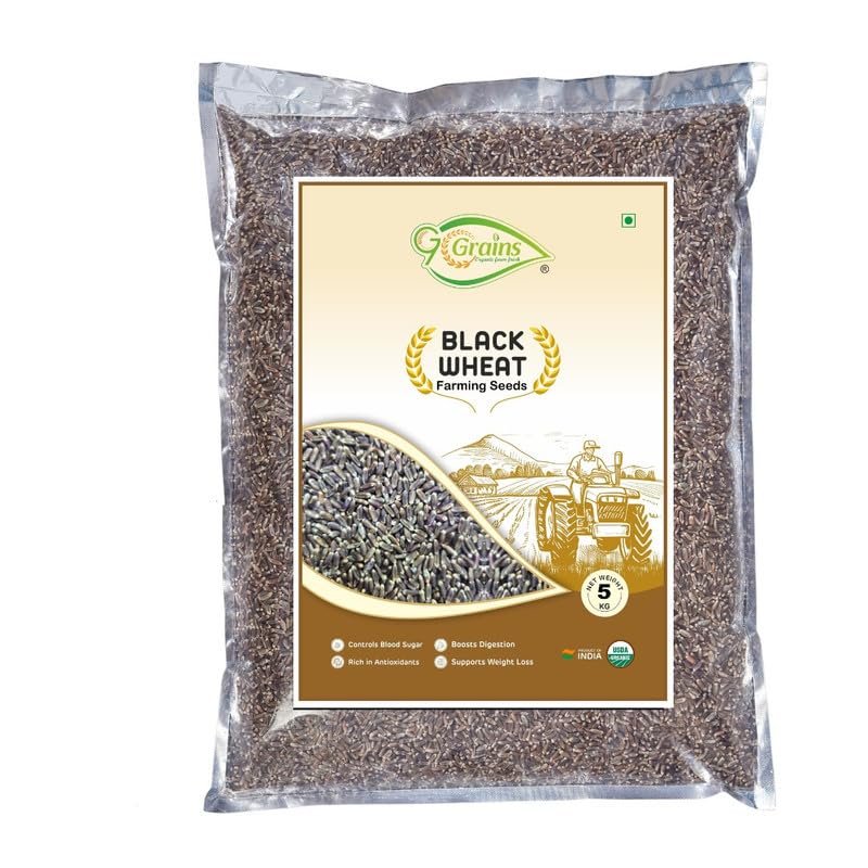 Image of Organic Black Wheat Grains Seeds (5Kgs) | Kale Gehu Ka Seeds | For Farming, Sowing & Agriculture Use | Produce of India | 100% Natural & Non-GMO | By G7 Grains