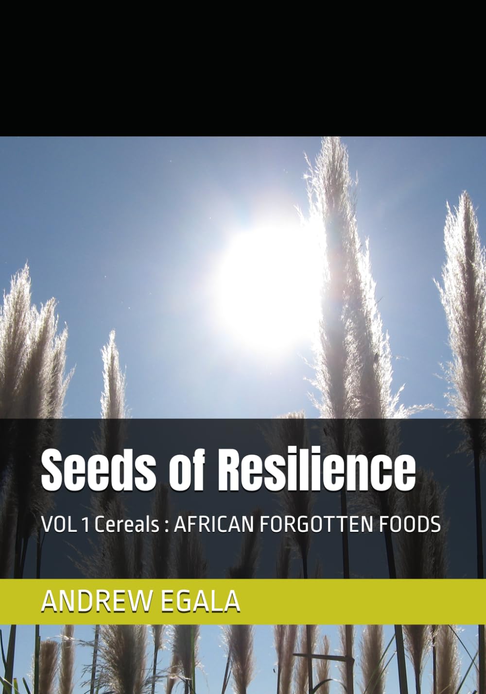 Seeds of Resilience: VOL 1 Cereals : AFRICAN FORGOTTEN FOODS