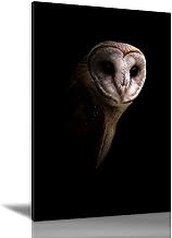 Bird Wall Art Canvas Painting Print Picture Owl In The Dark Modern Canvas Wall Decor Artwork Framed Abstract Canvas for Living Room Office Kitchen Bedroom Home Decoration 12x18inch