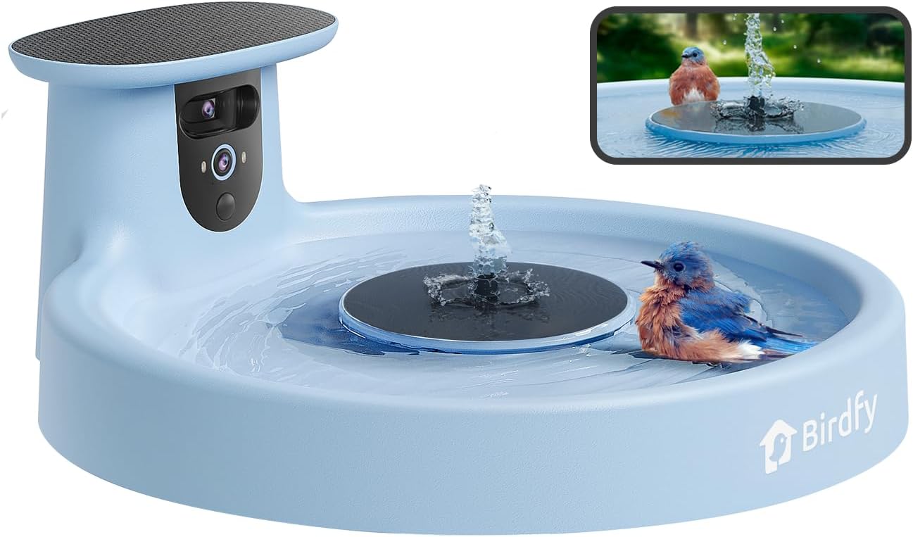 Afternoon Deals @ Your Local BIDFTA! 