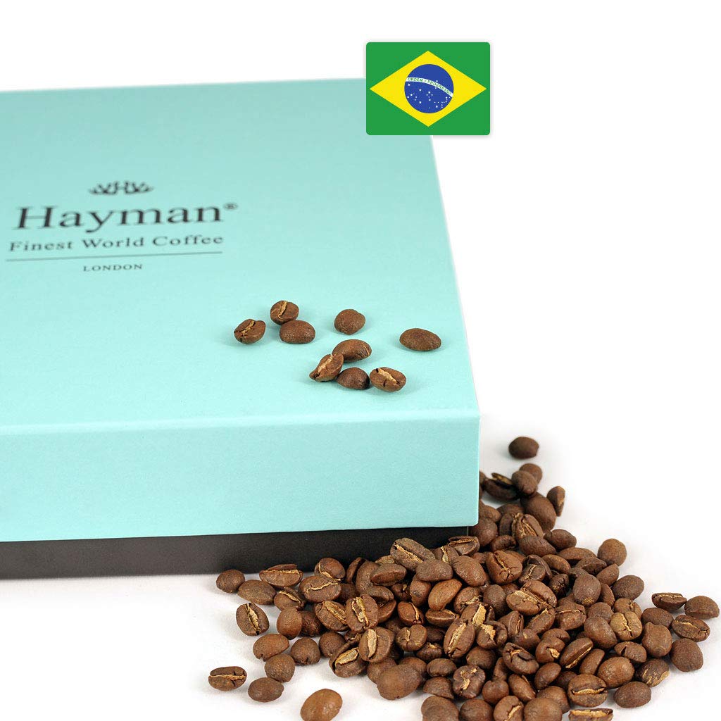 Hayman, 100% Brazil Fazenda Sao Paulo Specialty Coffee, Whole Bean, Medium Roast, 12 Ounces | Fresh Roasted Brazilian Coffee Beans