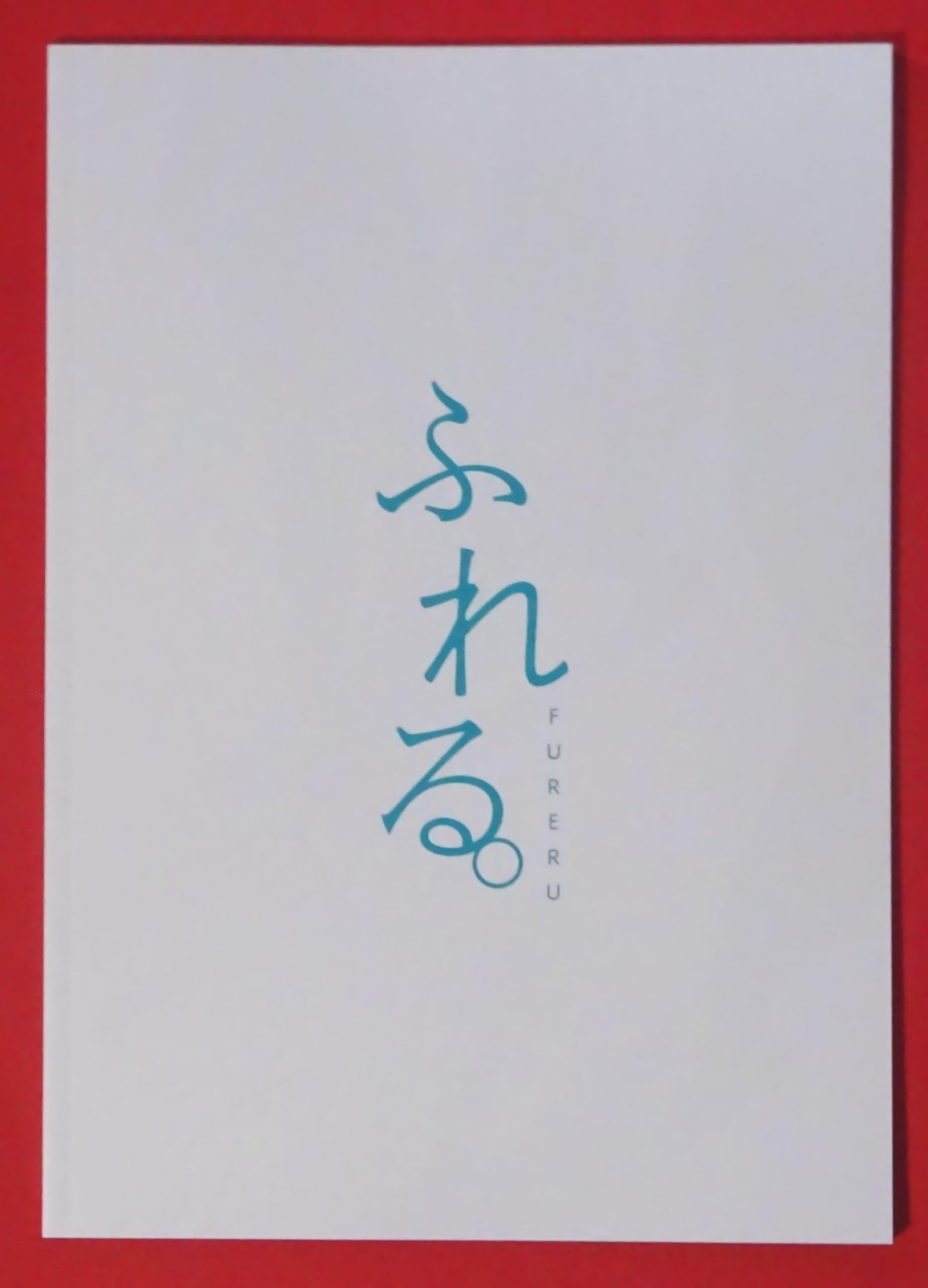 【チラシ2種付き、映画パンフレット】ふれる 監督 長井龍雪 出演 声の出演:永瀬廉、坂東龍汰