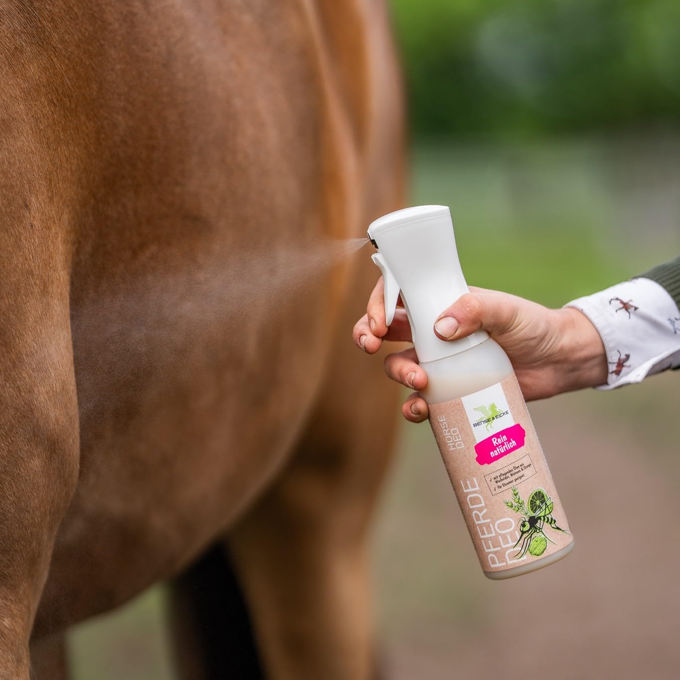 Bense & Eicke PferdeDeo 500 ml - natürliches Deodorant für Pferde - überdeckt Eigengeruch - pflegt Haut und Fell mit Duftnote: Walnuss und Orange