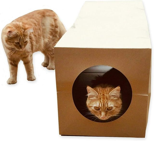 CATMAT Cat Tunnel Toy Large Heavy Duty Brown Paper Indoor Collapsible, Kittens, Small Dogs, Puppies Rabbits Tube Crinkle Sound 1m long 30cm diameter Fun!