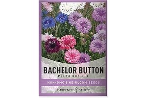 Vibrant Bachelor Button Seeds for Breathtaking Blooms