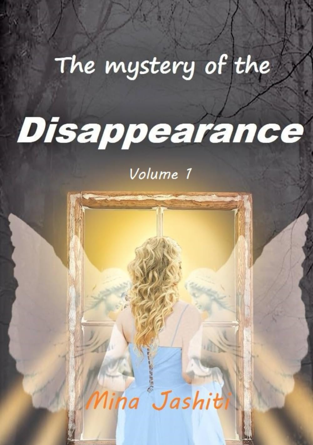 The Mystery of the Disappearance (Volume 1)