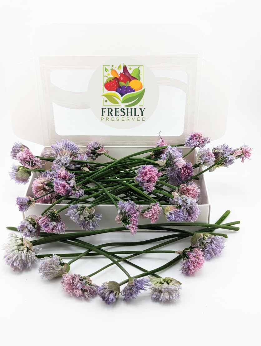 Edible Flower Freshly Preserved Freezedried Edible Chive