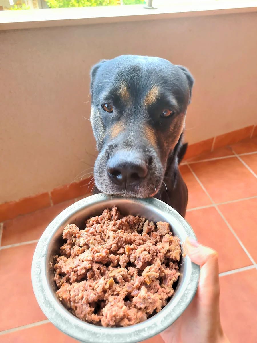 Naturalmente Feliz Alimento Natural casero para Perros, Comida húmeda con Carne Fresca y Verduras - 90% Carne (12x450gr) (Cocido Ternera/Pollo y Verduras)