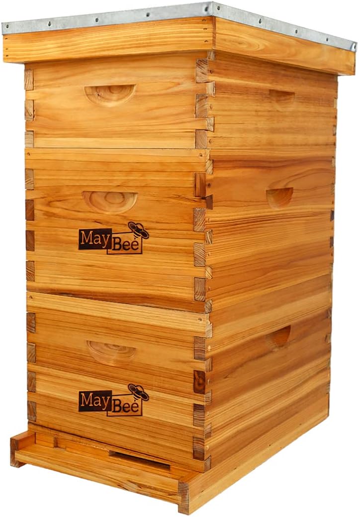 MayBee 8-Frame Langstroth Beehive Dipped in 100% Beeswax, Bee Hive for Beginner, Honey Bee Hives Includes 2 Deep Bee Boxes, 1 Bee Hive Super with Beehive Frames and Foundation (3 Layer)