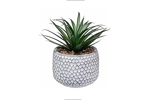 CADNLY Faux Succulents - Lifelike Desk and Home Plants