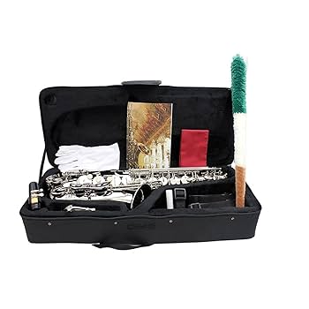 Amazon.co.jp: DZDZDZ シルバーアルトサックスE-フラットアルト