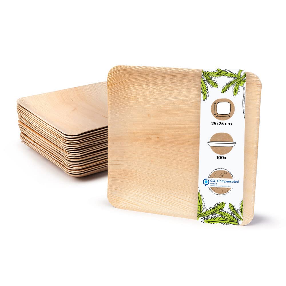 BIOZOYG Einwegteller 100 Stück 25x25 cm Palmblatt-Teller - Einweggeschirr kompostierbar - hochwertige Alternative für Bambus Teller und Pappteller - Partygeschirr