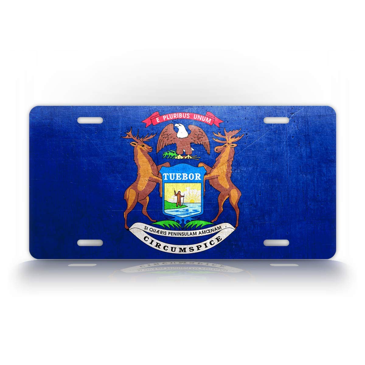 SignsAndTagsOnline Michigan Weathered Metal Flag License Plate Antique MI State Flag Auto Tag