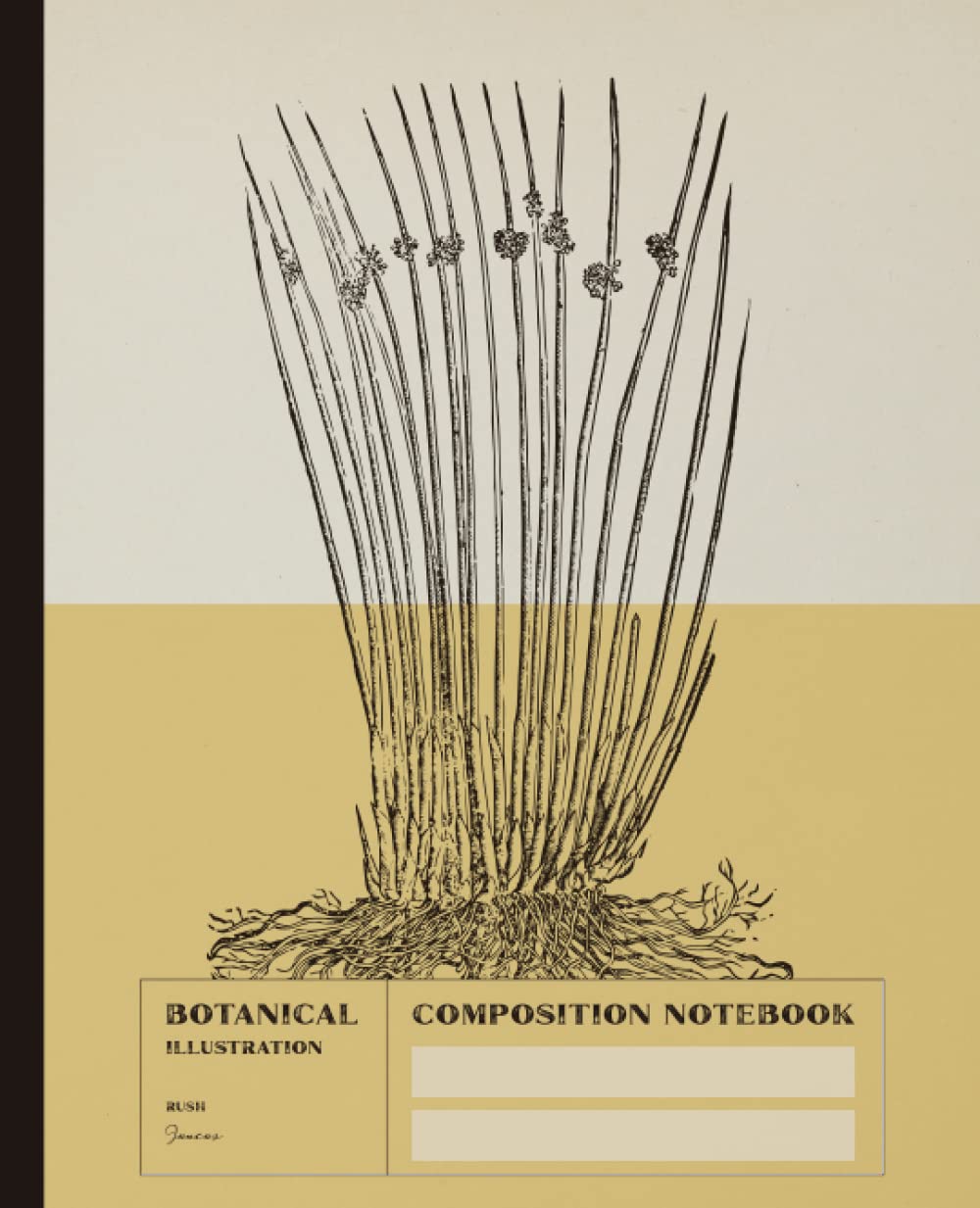 Composition Notebook Botanical Illustration Rush Juncus: Gold Vintage Plant Drawing with Modern Aesthetic | Retro Color Block Series | For Women, Men and Teens | College Ruled Paperback | 7.5 x 9.25 Paperback – 18 May 2023