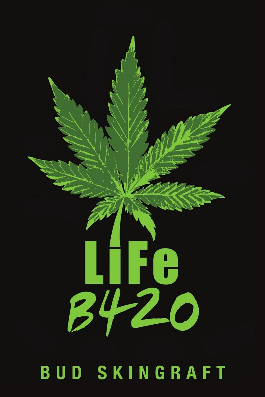 LiFe B420